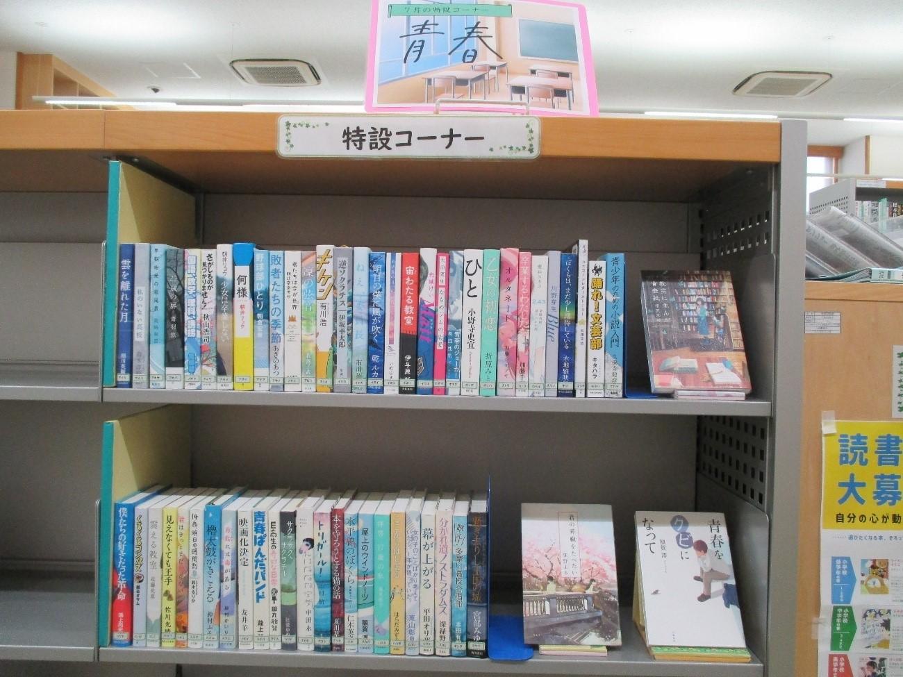 2025年7月みらい平分館大人向け特設コーナー画像